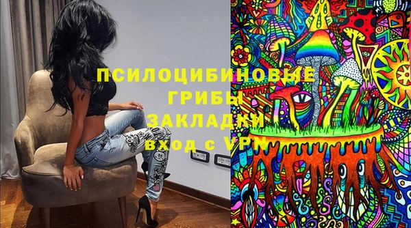 эйфоретик Алексин