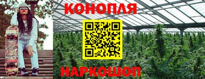 герыч Камышлов