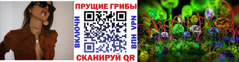 Псилоцибиновые грибы MAGIC MUSHROOMS  mega ТОР  Егорьевск  хочу наркоту 