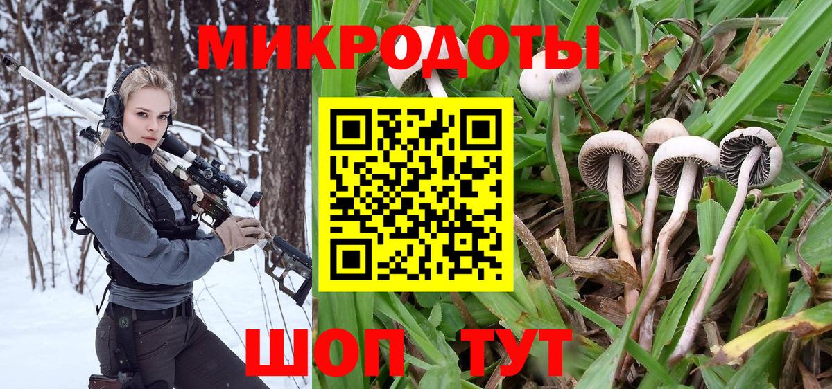 Егорьевск  где купить наркоту  Вход с VPN  Псилоцибиновые грибы Psilocybine cubensis 